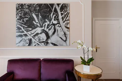 Grand Hotel Miramare Miramart Uriel Orlow The Memory Of Trees 2016